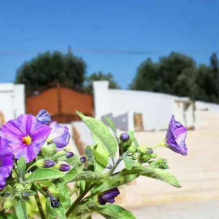 Lamacoppa Relax House *