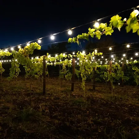 Lamacoppa Relax House * אוסטוני